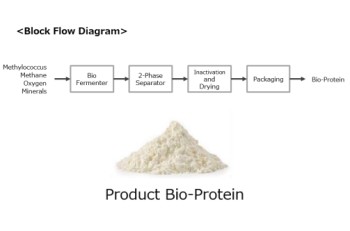 Bioprotein Production Technology from Methane Feedstock