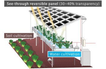 「Solar Farm」 Renewable energy and agriculture production from the same plot of land