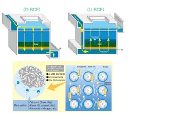 Biological Contact Filter (BCF)