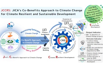 JICA Cluster Strategy