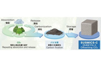 Environmentally friendly construction materials using biochar