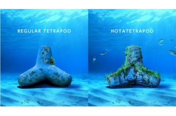 「HOTATETRAPOD」: Blue Carbon Wave Dissipating Blocks Utilizing Scallop Waste Shells