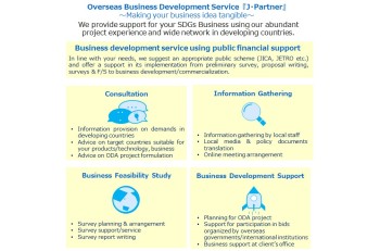 Supporting Services in International Cooperation Projects