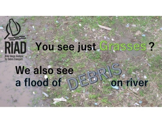 RIAD(River Image Analysis for Debris transport)