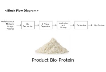 Bioprotein Production Technology from Methane Feedstock