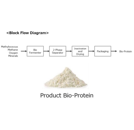 Bioprotein Production Technology from Methane Feedstock