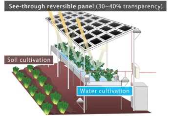 「Solar Farm」 Renewable energy and agriculture production from the same plot of land