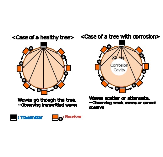 Comprehensive tree diagnosis and management service