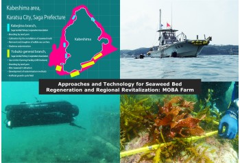 Approaches and Technology for Seaweed Bed Regeneration and Regional Revitalization: MOBA Farm