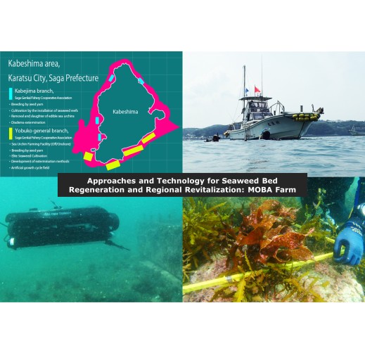 Approaches and Technology for Seaweed Bed Regeneration and Regional Revitalization: MOBA Farm