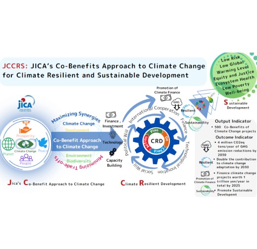 JICA Cluster Strategy