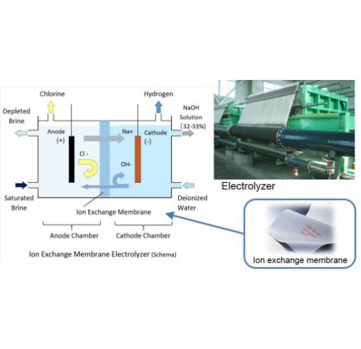 Ion-Exchange Membrane for the Production of Caustic Soda