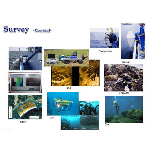 海洋環境・資源量調査、モニタリング及びそのコンサル業務