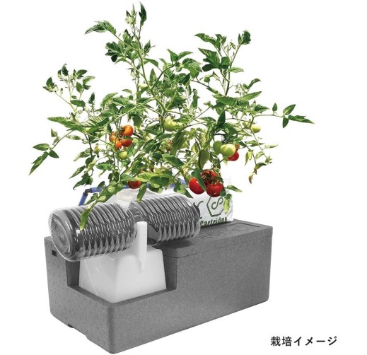 電気も機械も使わない　植物栽培技術「SoBiC（ソビック）」