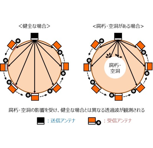 樹木の総合診断・管理サービス